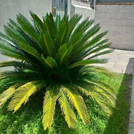 Vila Casa Agradavel Em Camboriu Com Estacionamento No Patio Exteriér fotografie