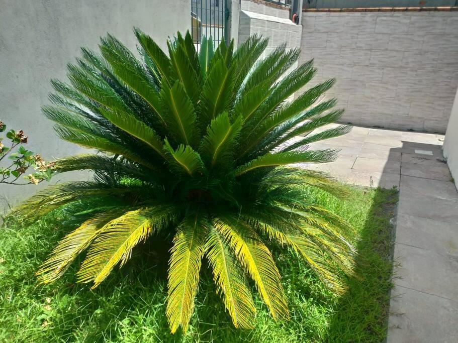 Vila Casa Agradavel Em Camboriu Com Estacionamento No Patio Exteriér fotografie